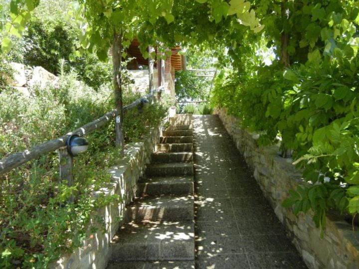 Fattoria Casa Sola *