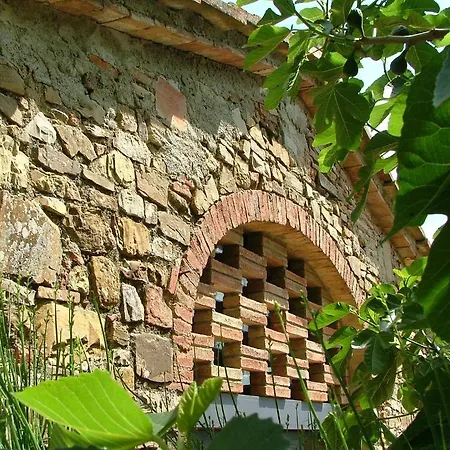 Gasthaus Fattoria Casa Sola Barberino di Val dʼElsa Zimmer foto
