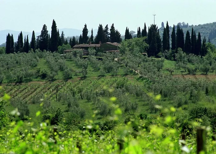 Fattoria Casa Sola