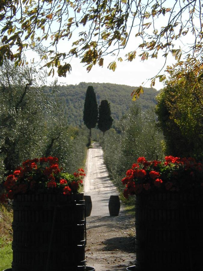 Casa rural Fattoria Casa Sola Barberino di Val dʼElsa
