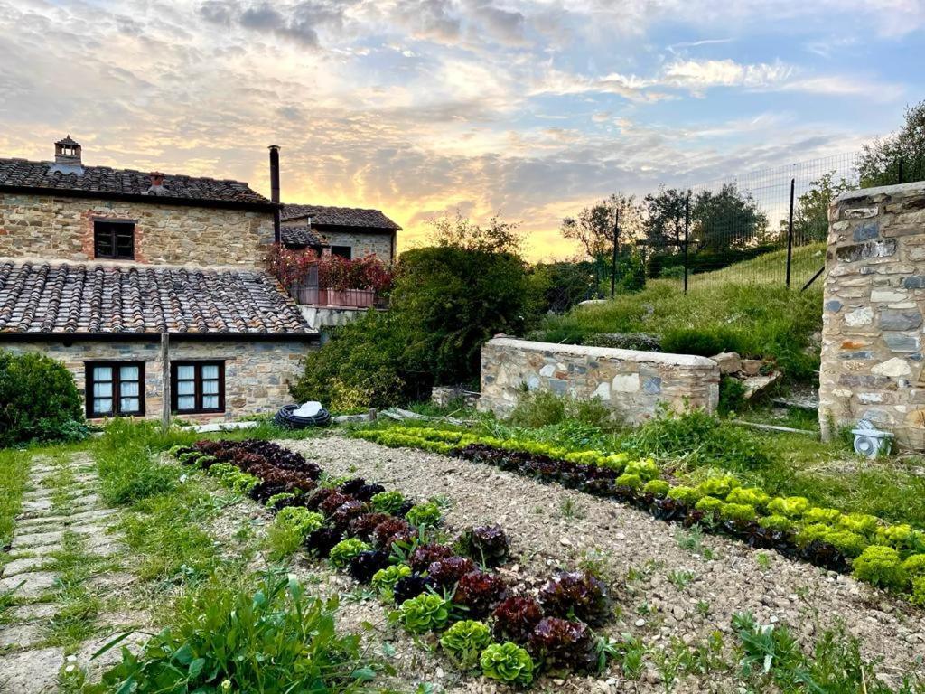 Fattoria Casa Sola Casa rural *