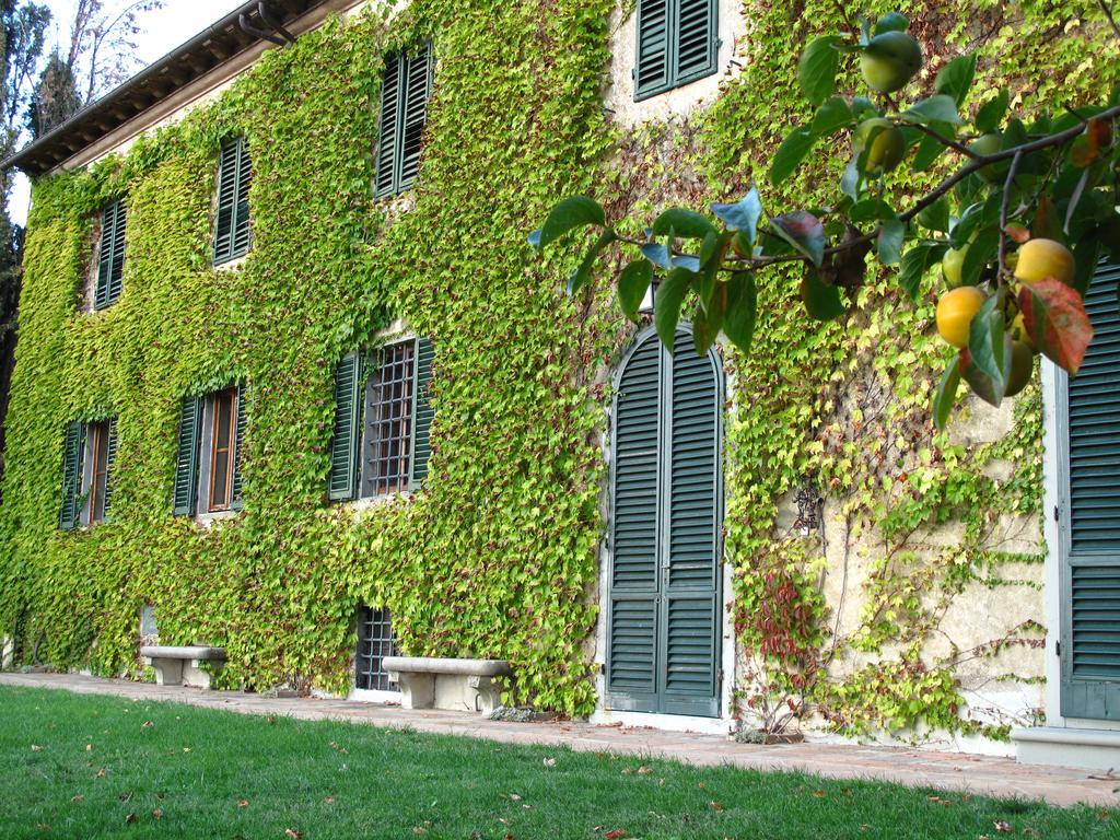Fattoria Casa Sola *