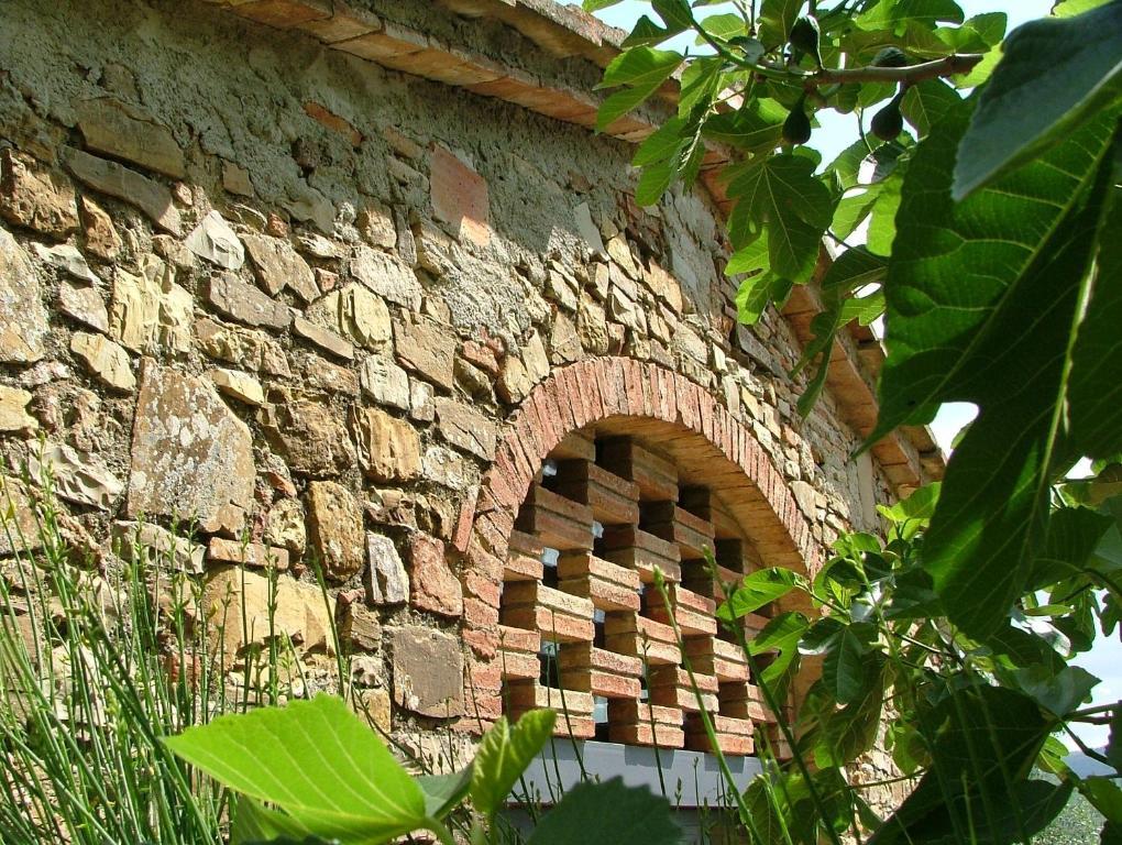 Fattoria Casa Sola *